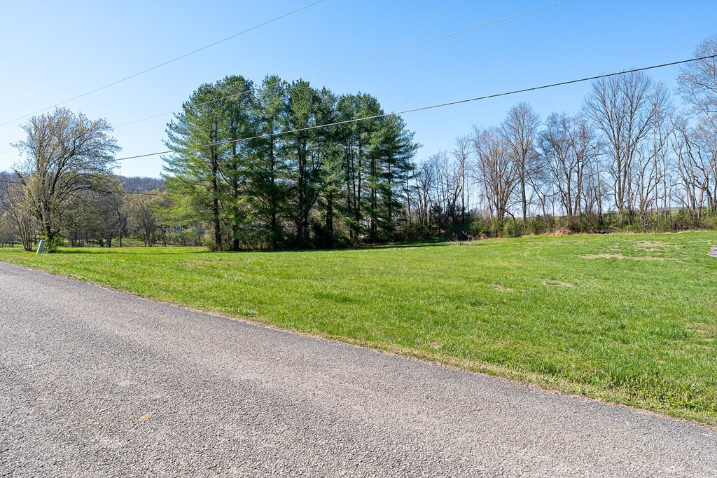 0 Webbs Camp Road Walling, TN 38587 - Photo 11 of 11 a view of a field with trees in the background