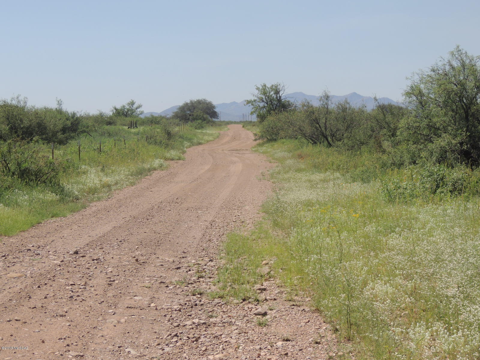 East Roadrunner & Price Ranch Road, Unit 4 Pearce, AZ 85625 - Photo 7 of 41