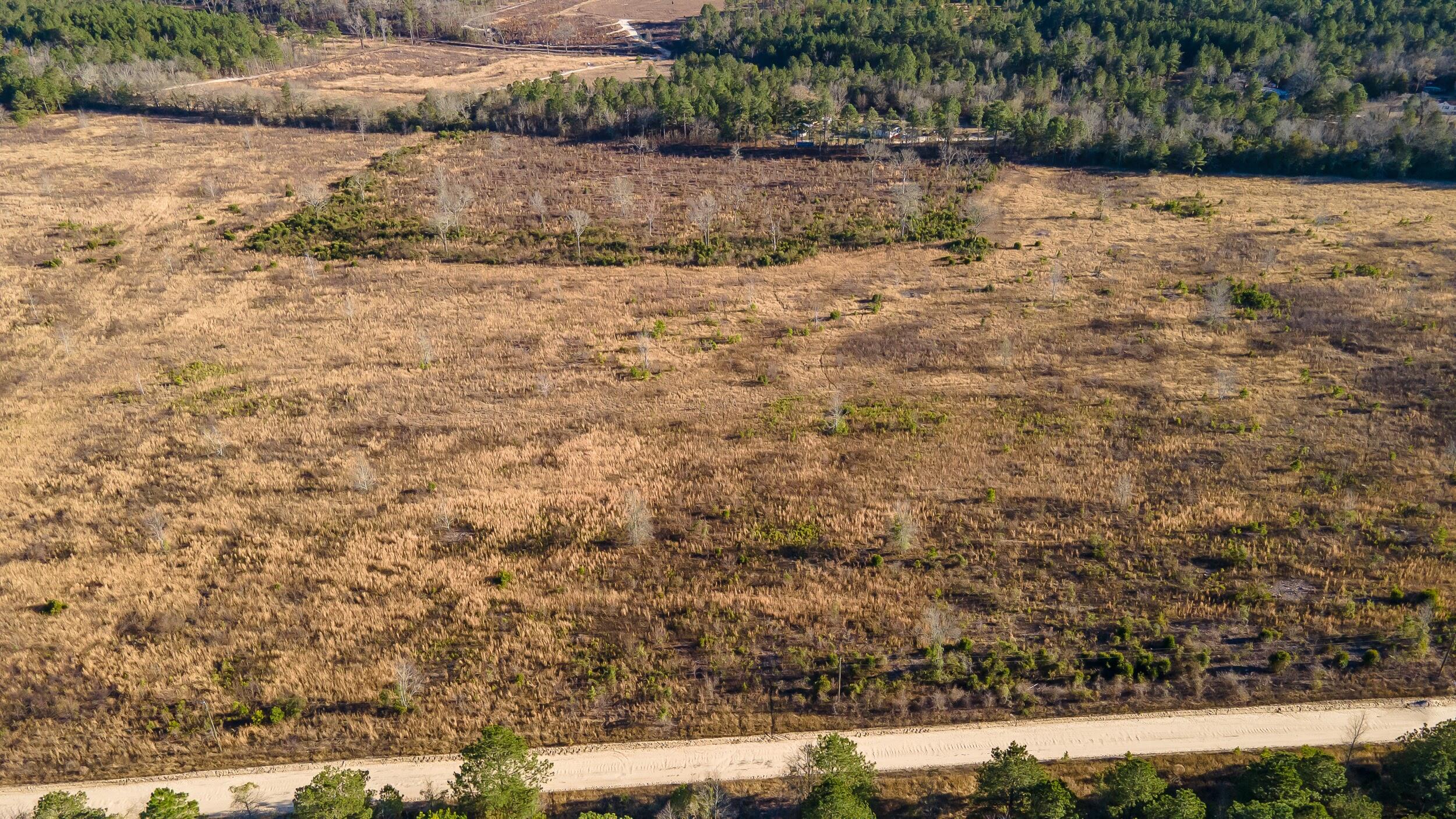 Lot 4 Old Shoals Road Monetta, SC 29105 - Photo 9 of 18
