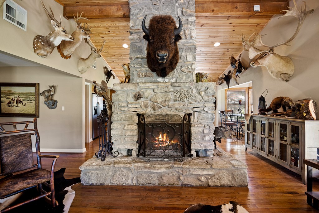 161 Flach Road Comfort, TX 78013 - Photo 16 of 55 Gallery Image 16