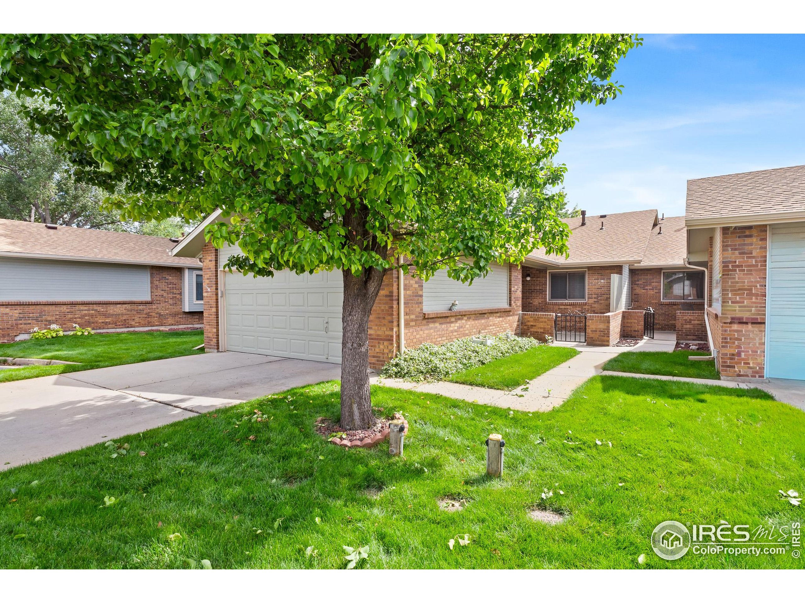 1100 South Taft Avenue, Unit 46 Loveland, CO 80537 - Photo 2 of 31 a view of a house with a yard and tree
