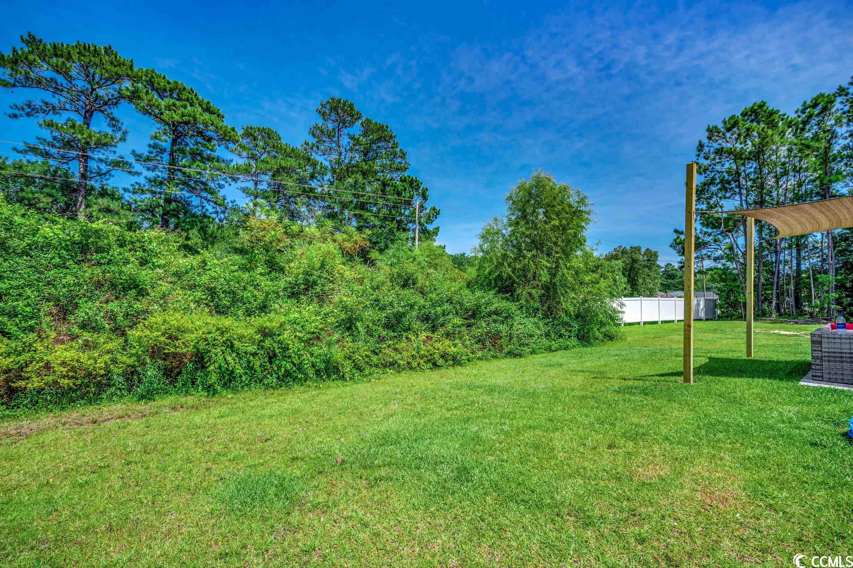 1023 Suggs Street Loris, SC 29569 - Photo 6 of 27 Gallery Image 6