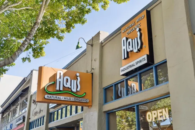 $2,999,000 | 1197 Willow Street, San Jose, CA 95125