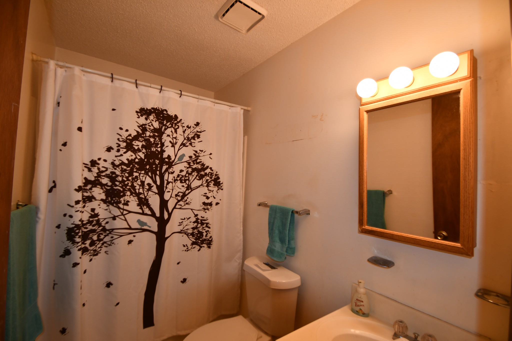 7 Fleeman Road Lawrenceburg, TN 38464 - Photo 13 of 16 a bathroom with a toilet sink and mirror