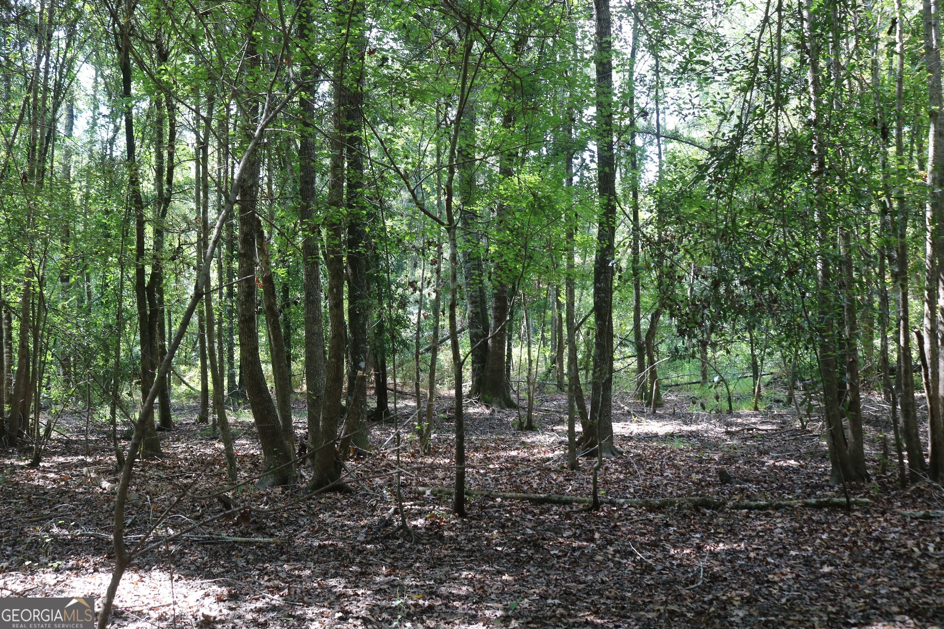 196 Gumlog Road Wrightsville, GA 31096 - Photo 9 of 19 Gallery Image 9
