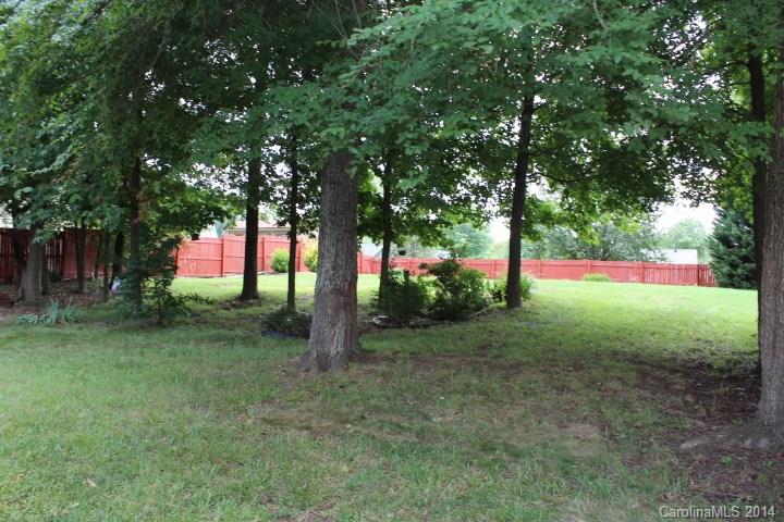 12838 Levins Hall Road Huntersville, NC 28078 - Photo 23 of 24