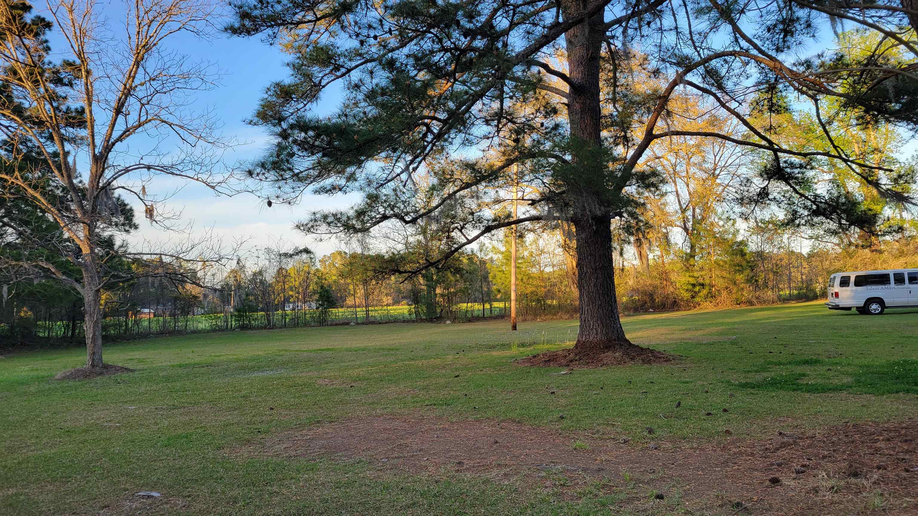 841 Bucksport Road Conway, SC 29527 - Photo 10 of 11 Gallery Image 10