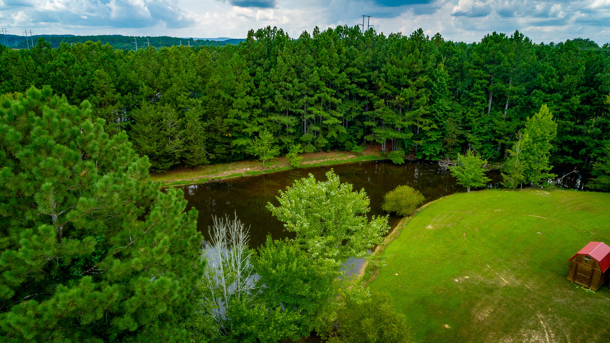 672 Wheeler Road LaFayette, GA 30728 - Photo 4 of 103 Springfed pond stocked with bass, brim