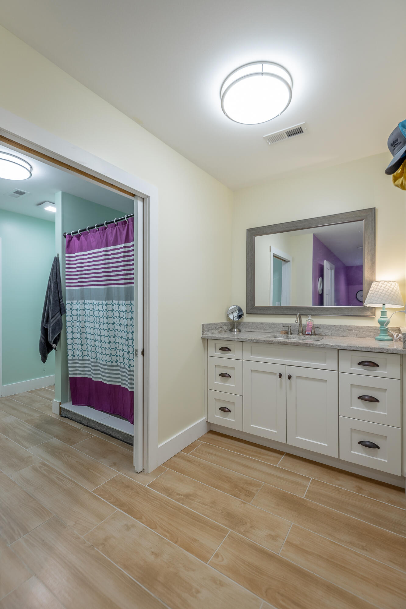 672 Wheeler Road LaFayette, GA 30728 - Photo 48 of 103 Private Vanity Area