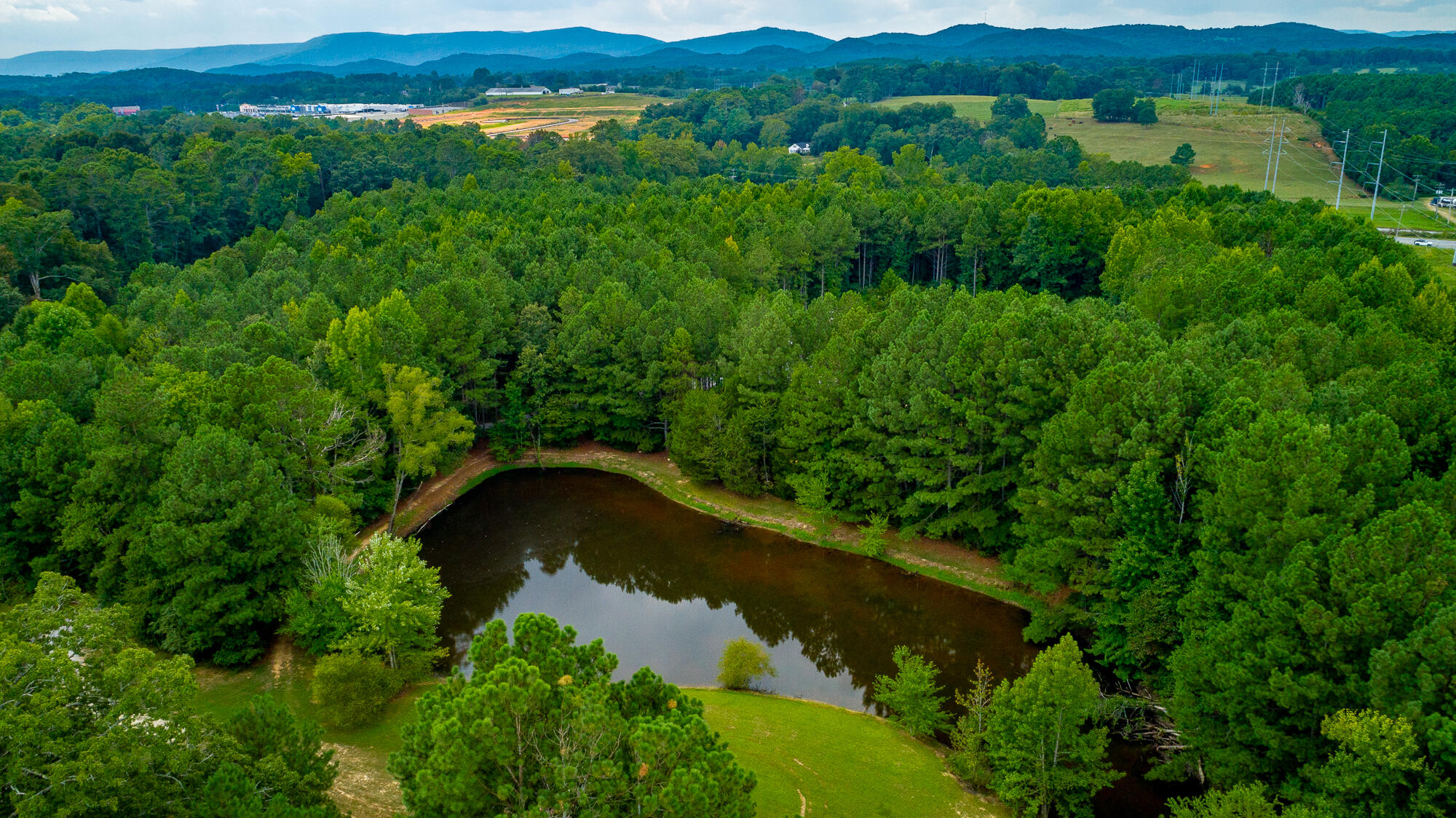 672 Wheeler Road LaFayette, GA 30728 - Photo 92 of 103 672 Wheeler Road HD-114