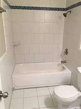 a bathroom with a toilet and a bathtub