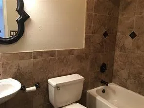 a bathroom with a toilet and a bathtub