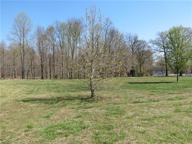 3400 Bethlehem Road Springfield, TN 37172 - Photo 17 of 20 Back/side yard, plenty of room to play