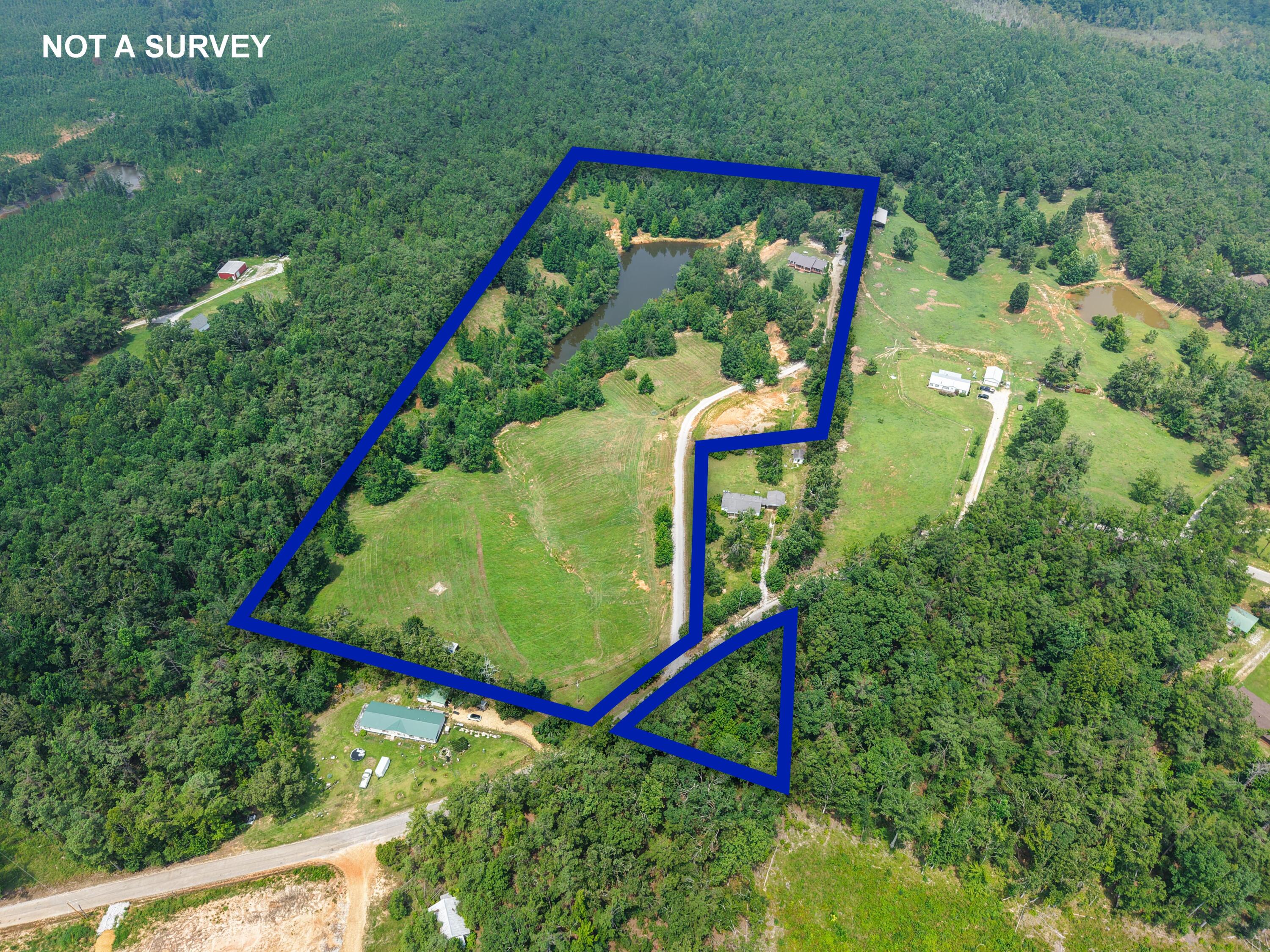 51 County Road 335 Rienzi, MS 38865 - Photo 2 of 52 Gallery Image 2