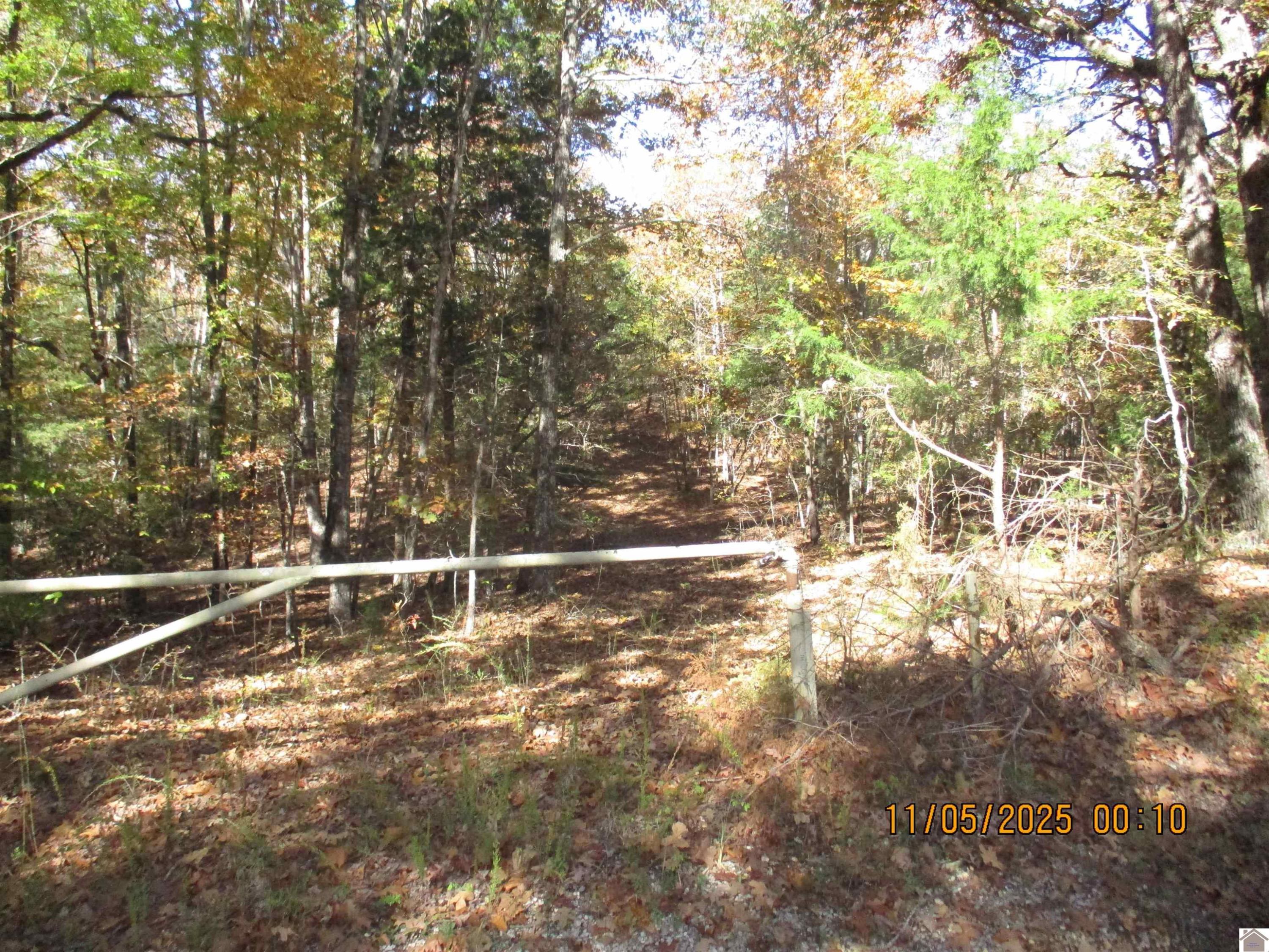0 Atkins Cemetery Road Cadiz, KY 42211 - Photo 2 of 2 Photo 2