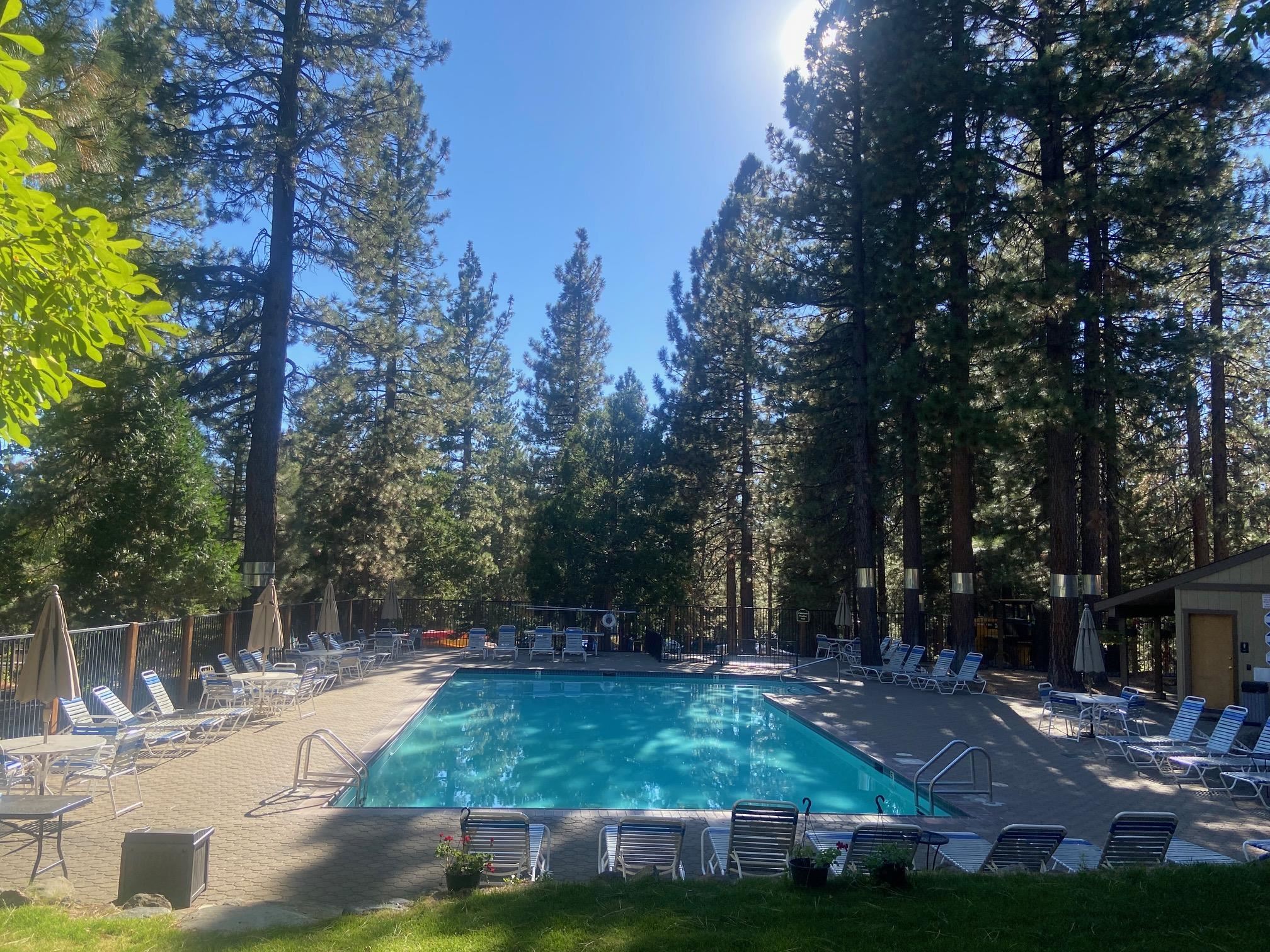 1001 Commonwealth Drive, Unit 101 Kings Beach, CA 96143 - Photo 27 of 28 a view of backyard with green space