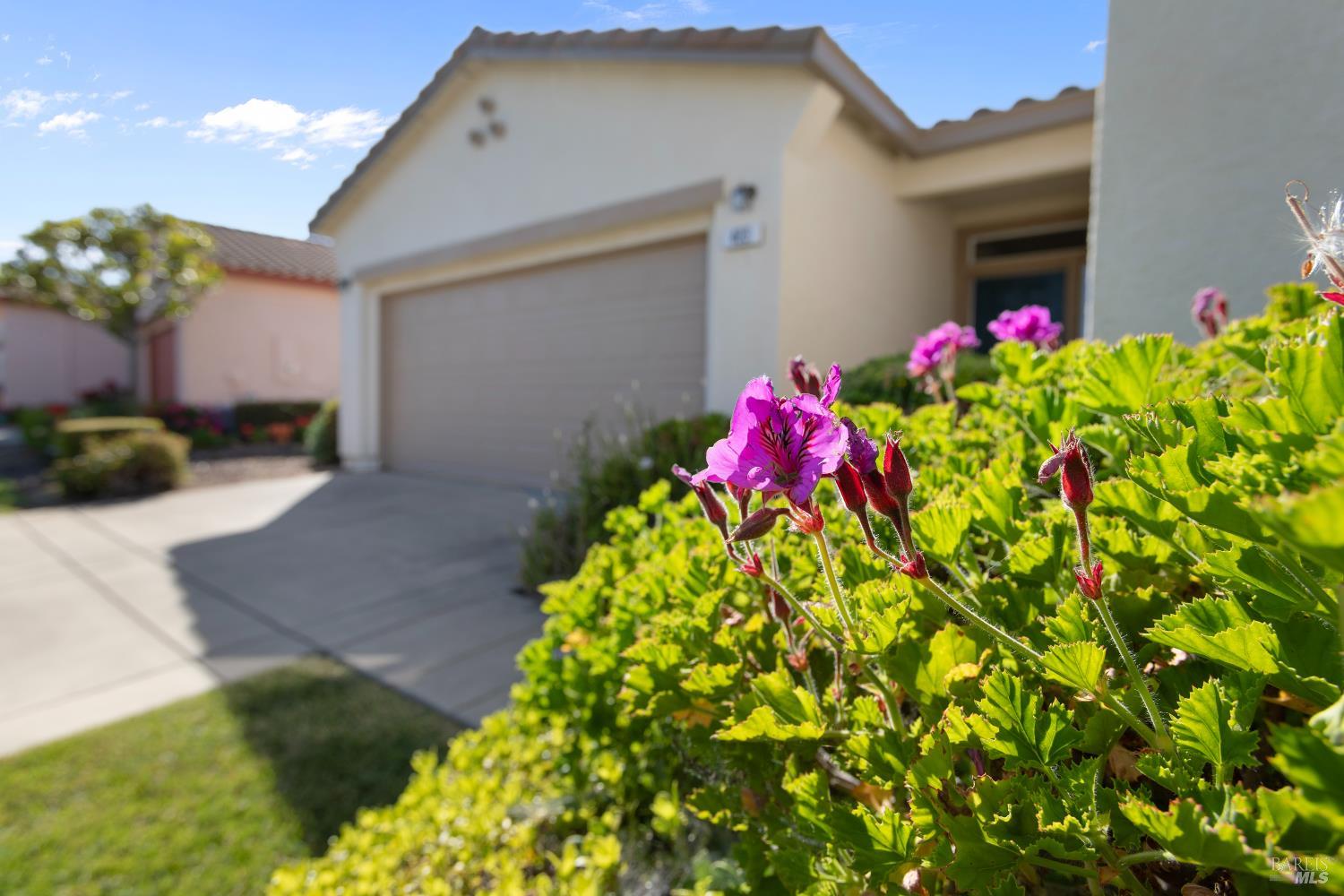 403 Bay Oaks Way Rio Vista, CA 94571 - Photo 4 of 33