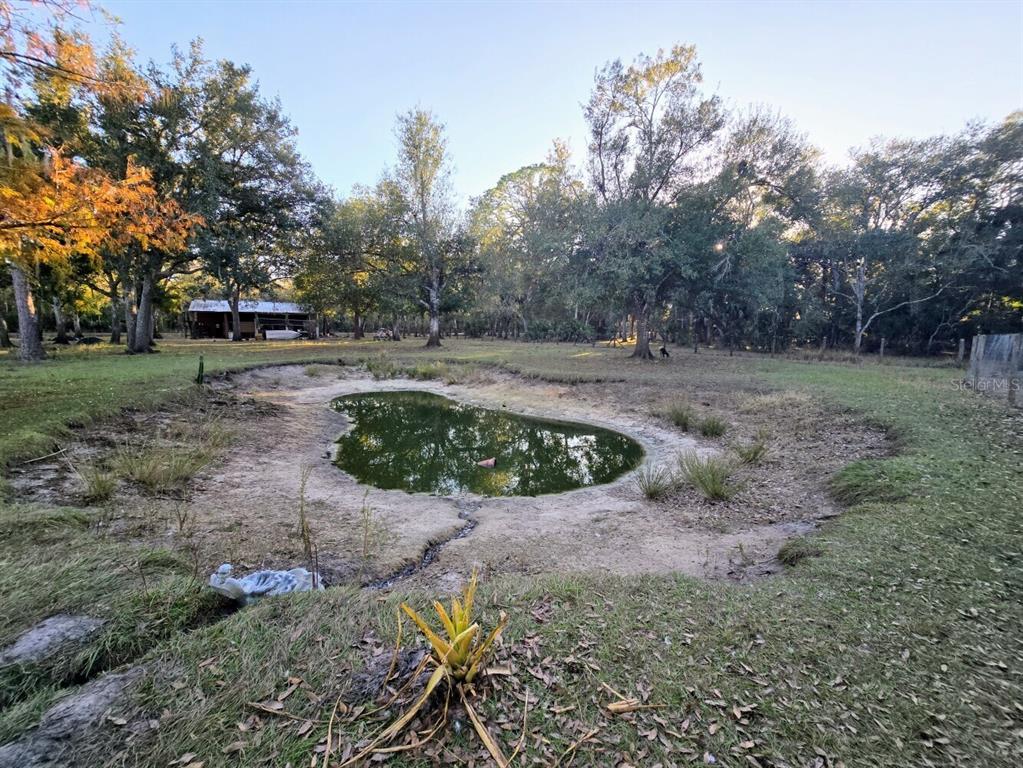2207 Southwest Blossom Road Arcadia, FL 34266 - Photo 33 of 43