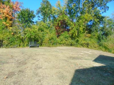 3619 John Sims Road Chattanooga, TN 37412 - Photo 27 of 29 Backyard