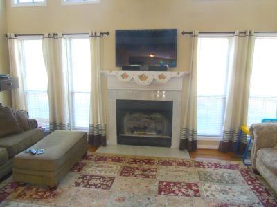 3619 John Sims Road Chattanooga, TN 37412 - Photo 4 of 29 Gas log fireplace