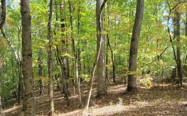 $49,000 | 31-a&b Mountain View Lane, Hayesville, NC 28904