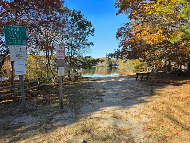 a view of a yard with an outdoor seating