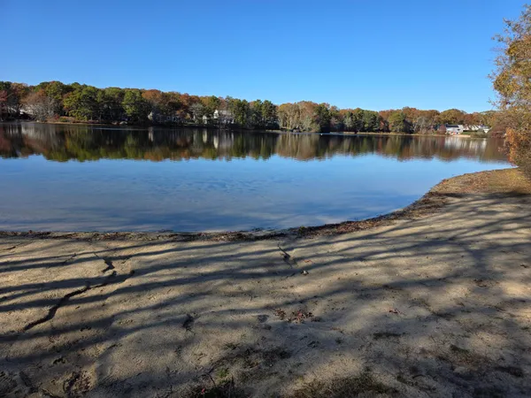 an aerial view of a house with large trees