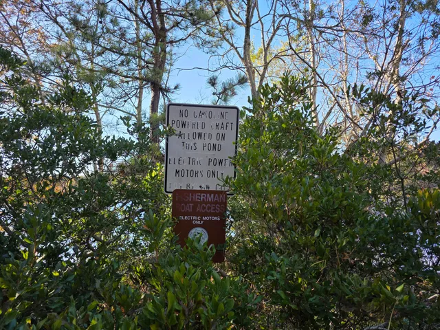 a view of a lake with a mountain
