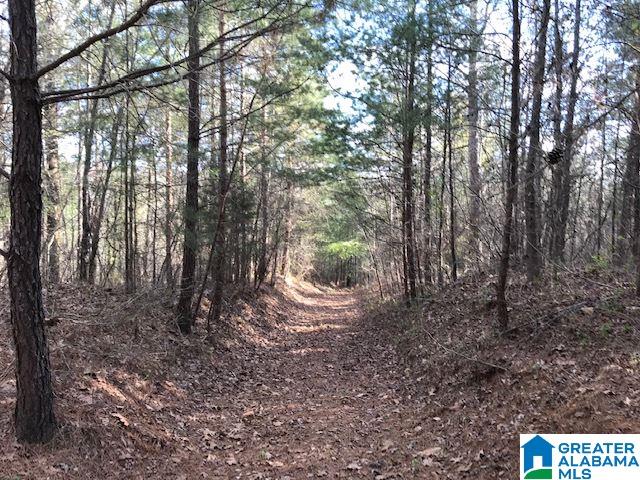 3111 Jackson Road, Unit 75 ACRES Pinson, AL 35126 - Photo 11 of 16