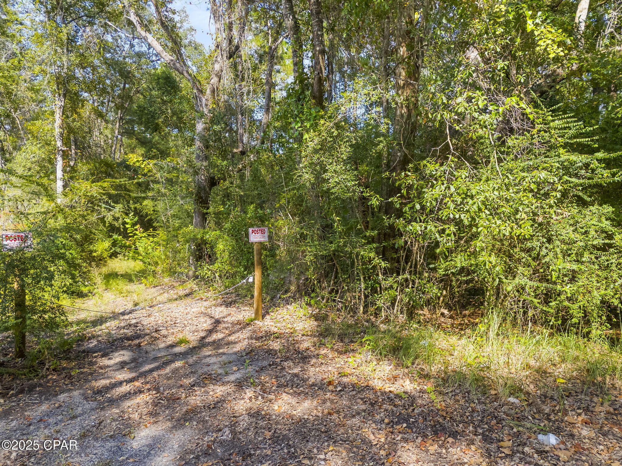 0 Old Eucheeanna Road Freeport, FL 32439 - Photo 17 of 29