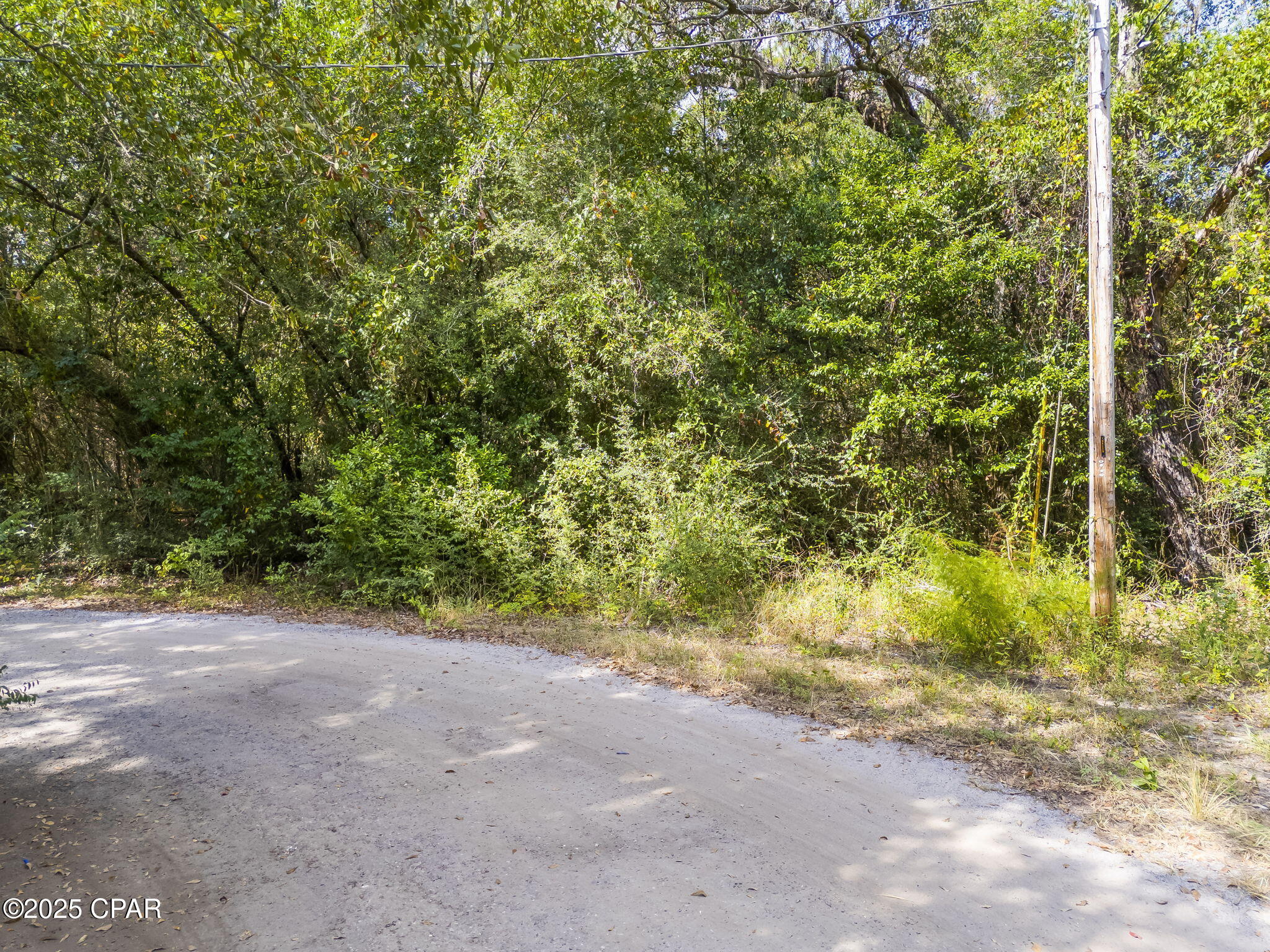 0 Old Eucheeanna Road Freeport, FL 32439 - Photo 19 of 29