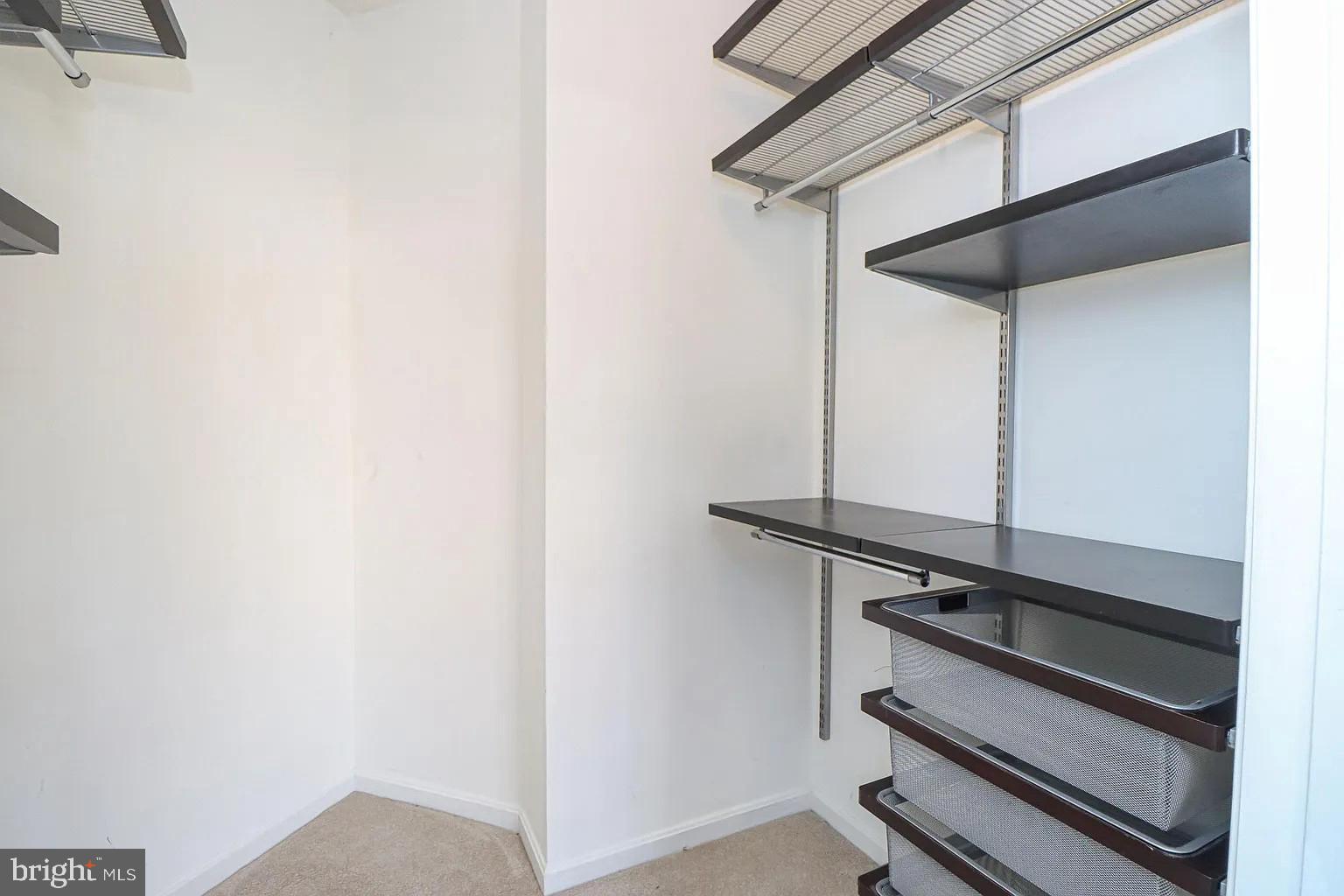 12185 Abington Hall Place, Unit 201 Reston, VA 20190 - Photo 14 of 32 a close view of closet