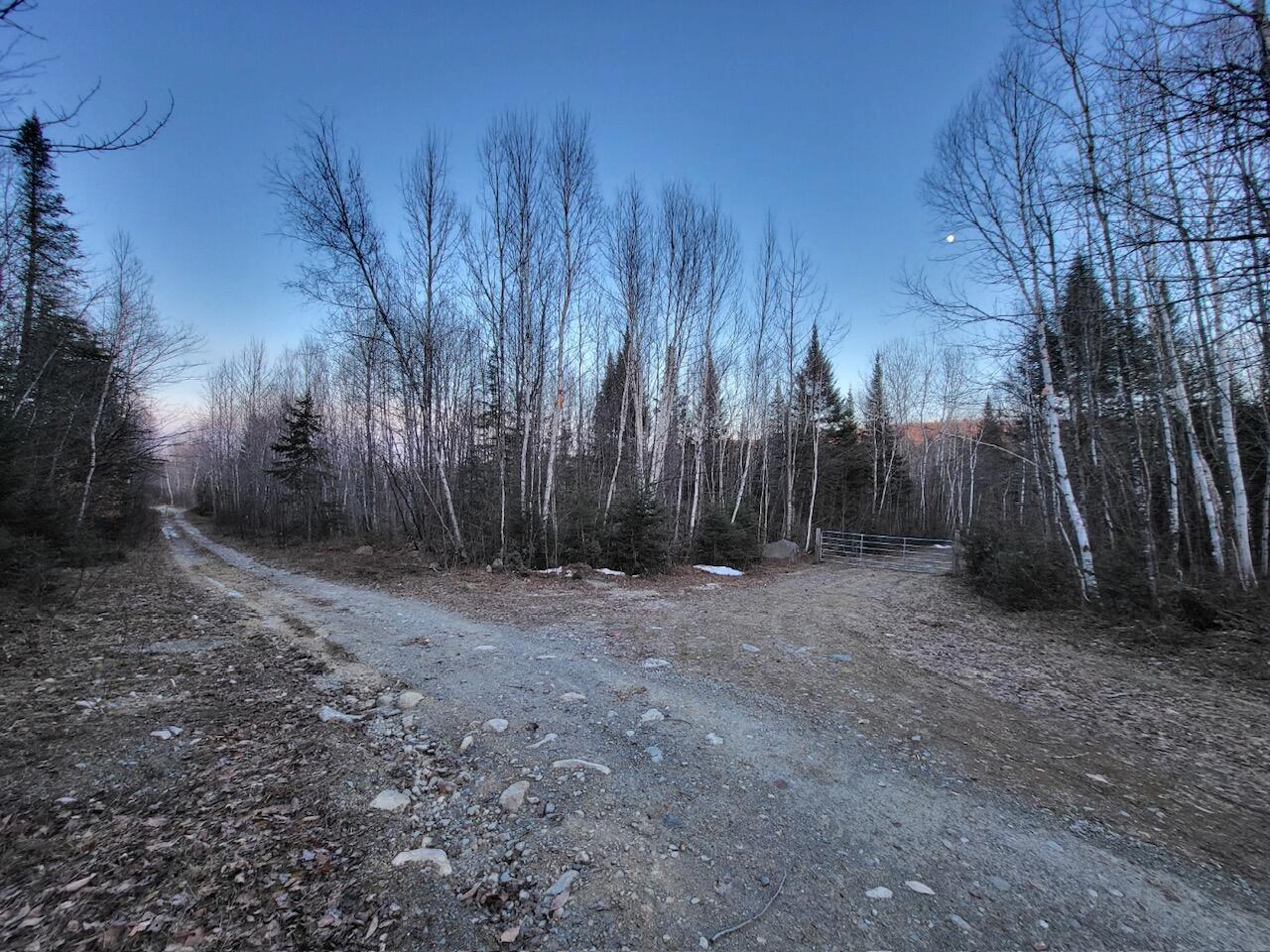 Lot 1 South Oakfield Road Oakfield, ME 04763 - Photo 13 of 22 Resized_20231223_154100_1705516061148