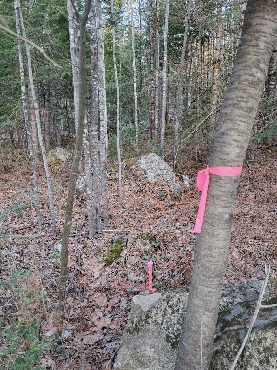 Lot 1 South Oakfield Road Oakfield, ME 04763 - Photo 19 of 22 Resized_20231223_151000_1705516178530