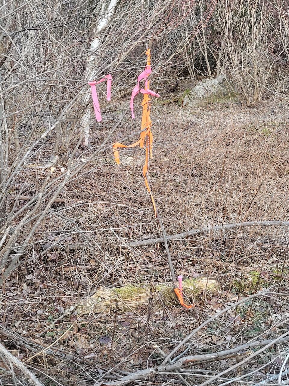 Lot 1 South Oakfield Road Oakfield, ME 04763 - Photo 20 of 22 Resized_20231223_152814_1705516098359