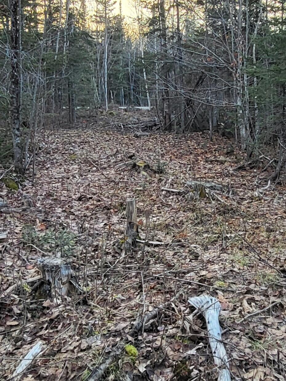 Lot 1 South Oakfield Road Oakfield, ME 04763 - Photo 7 of 22 Resized_20231223_151724_1705516154243