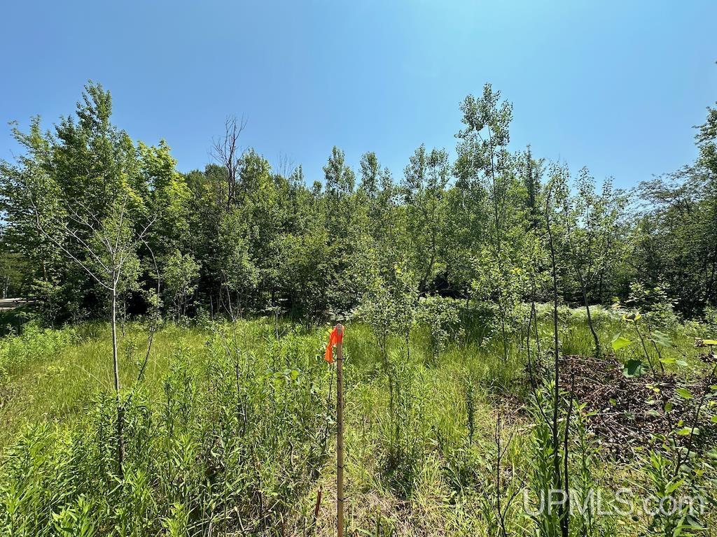 Parcel A Webb Road Grand Marais, MI 49839 - Photo 18 of 29