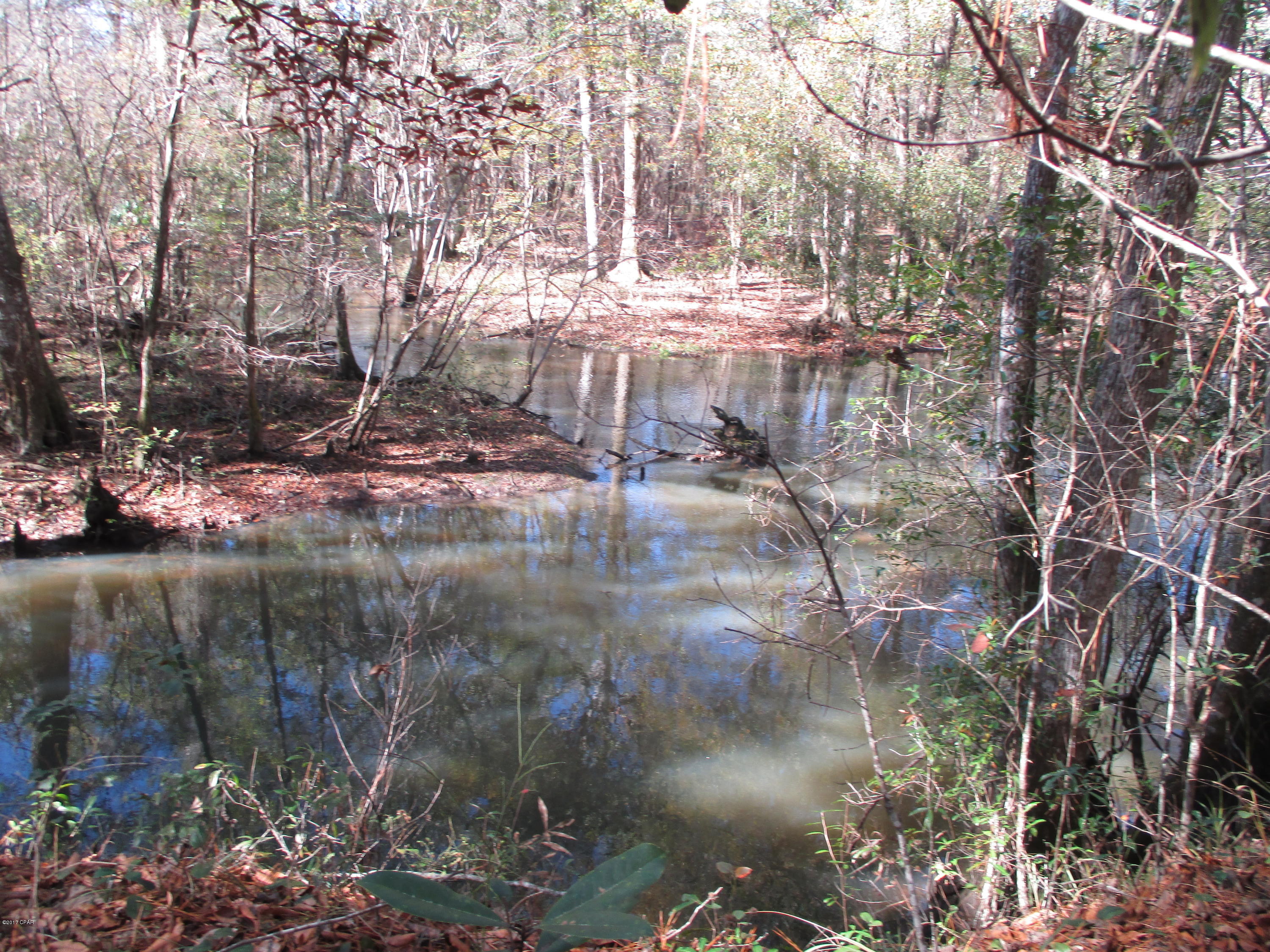 0 Benchoff Road Bonifay, FL 32425 - Photo 16 of 32
