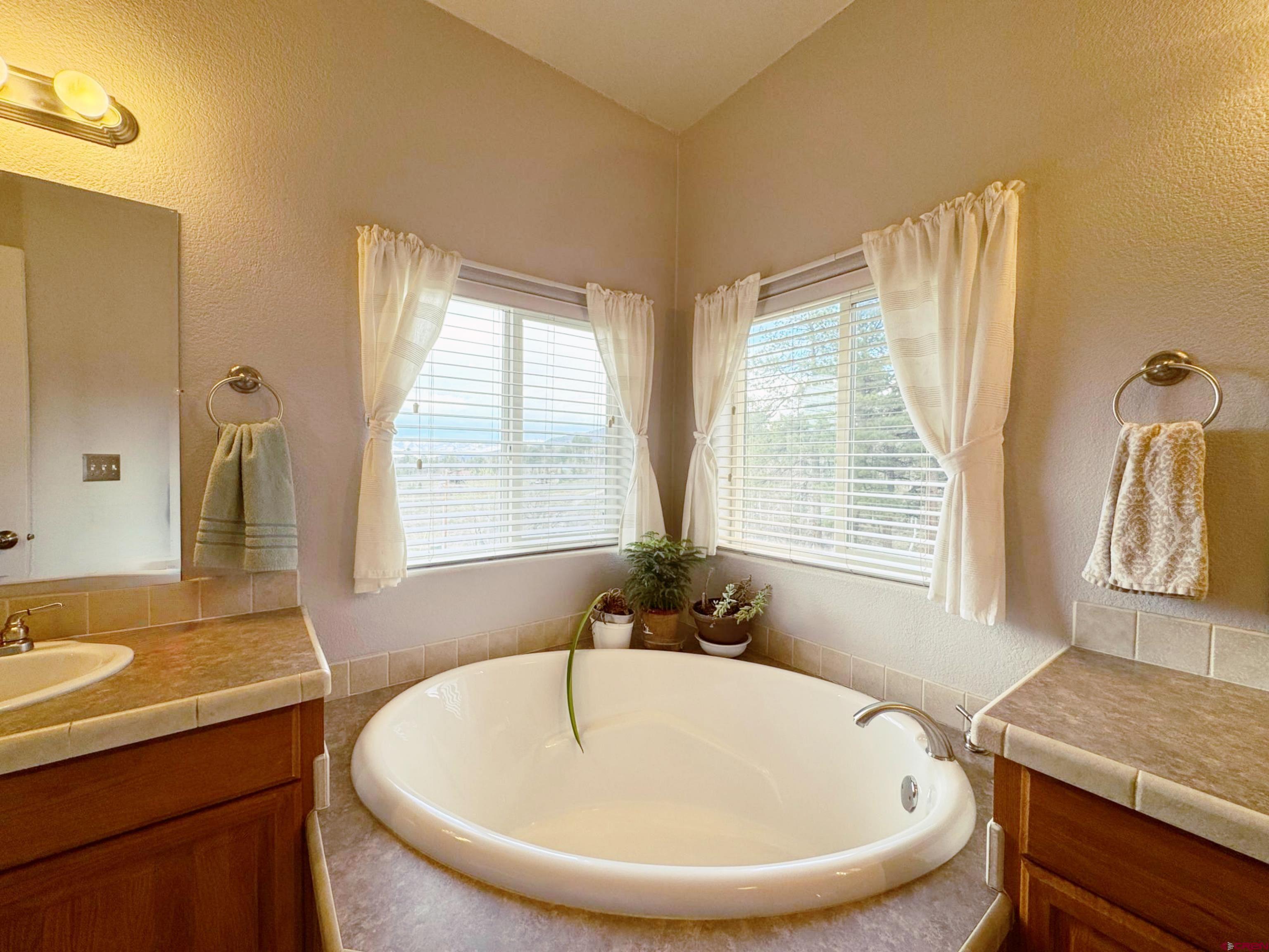 360 Forest Hill Road Ridgway, CO 81432 - Photo 23 of 43
