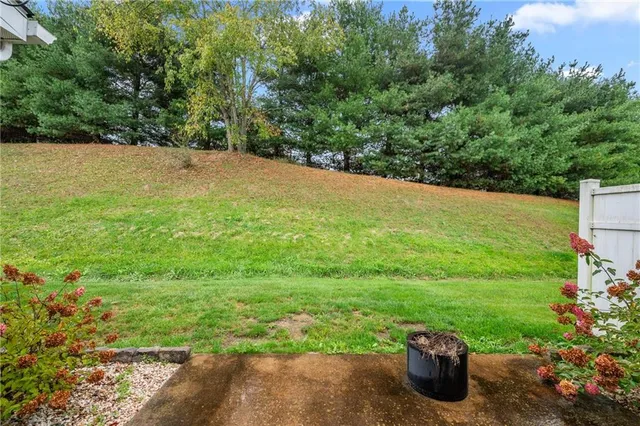 a view of a field with plants and trees