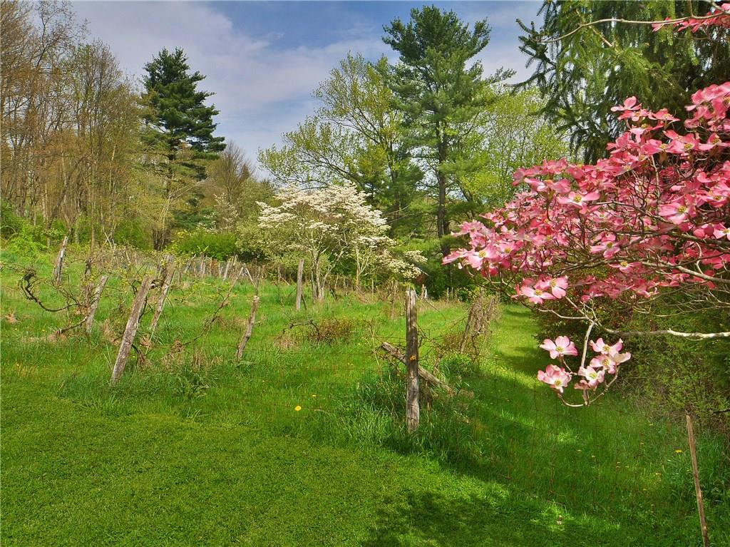 451 Utopia Apollo, PA 15613 - Photo 22 of 25 Gallery Image 22