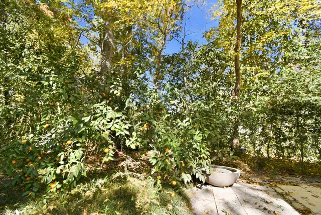 $629,000 | 2492 Elfinwing Lane, Tallahassee, FL 32309