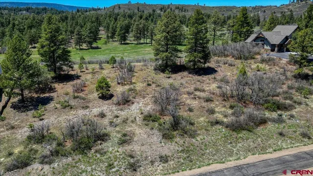 $149,000 | 486-504 Santino Place, Pagosa Springs, CO 81147