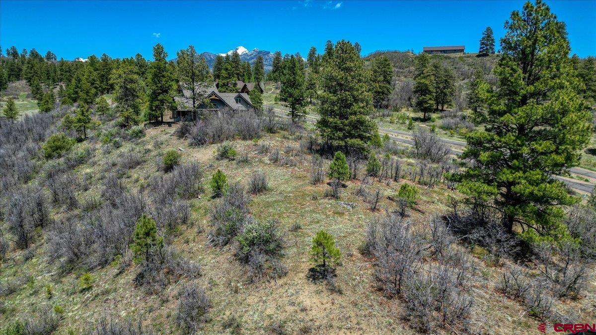 486-504 Santino Place Pagosa Springs, CO 81147 - Photo 13 of 15 a view of a forest with trees