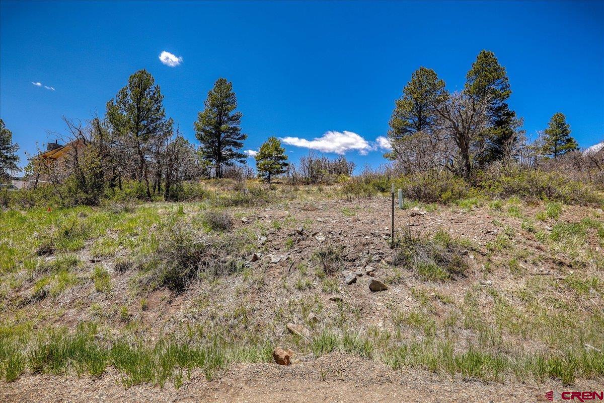 486-504 Santino Place Pagosa Springs, CO 81147 - Photo 4 of 15 a view of a dry yard
