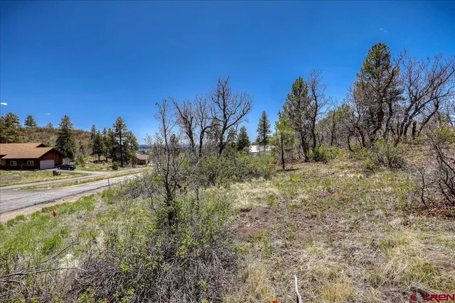 $149,000 | 486-504 Santino Place, Pagosa Springs, CO 81147