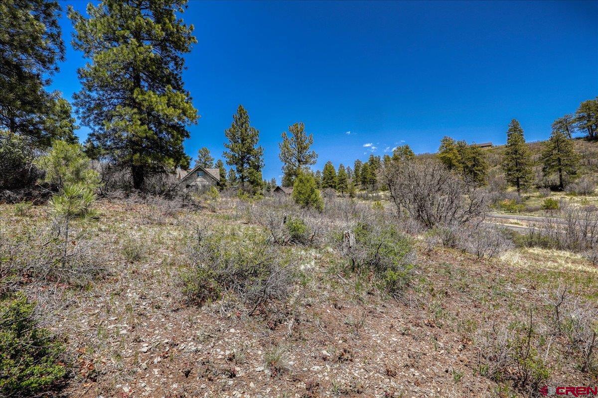 486-504 Santino Place Pagosa Springs, CO 81147 - Photo 7 of 15 a view of a dry yard with trees in the background