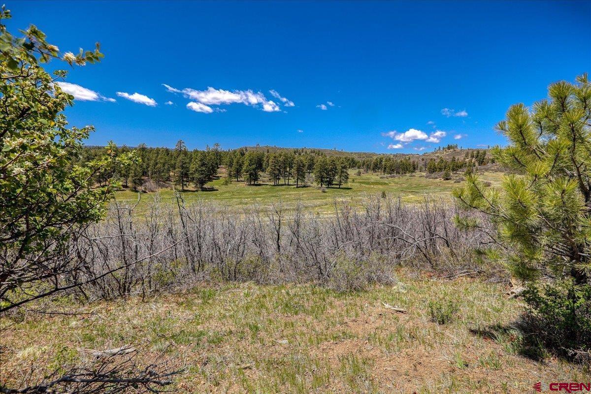 486-504 Santino Place Pagosa Springs, CO 81147 - Photo 8 of 15 a view of a lake