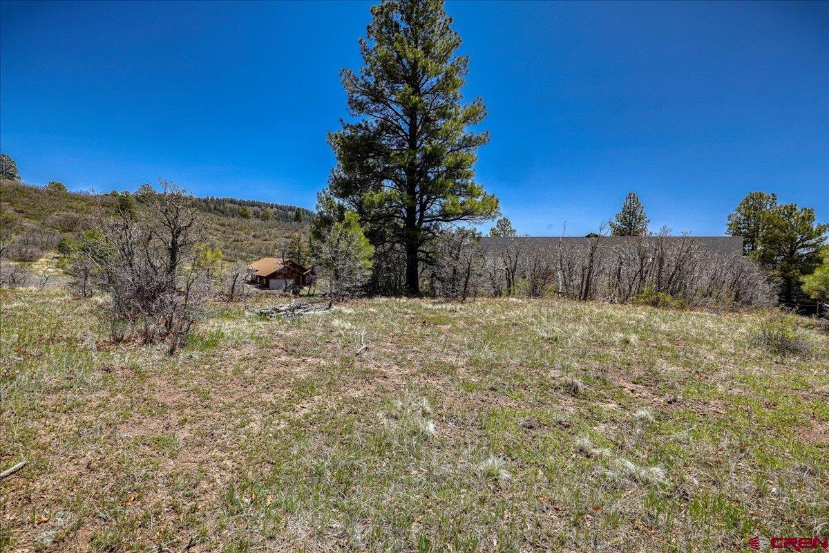 486-504 Santino Place Pagosa Springs, CO 81147 - Photo 9 of 15 a view of a yard with a tree