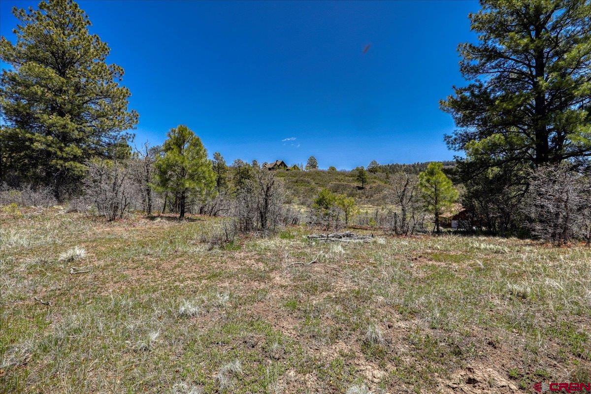 486-504 Santino Place Pagosa Springs, CO 81147 - Photo 10 of 15 a view of large yard with large trees